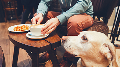 Dog sitting next to man eating at small table in restaurant