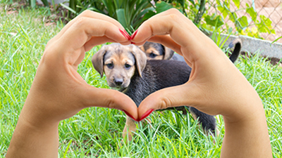 Girl making heart shape with hands and dog in heart