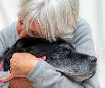saying goodbye Elderly woman hugging elderly dog