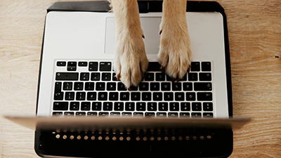 templates Laptop computer with dog paws typing